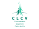 2023 - Logo C5 - CLCV